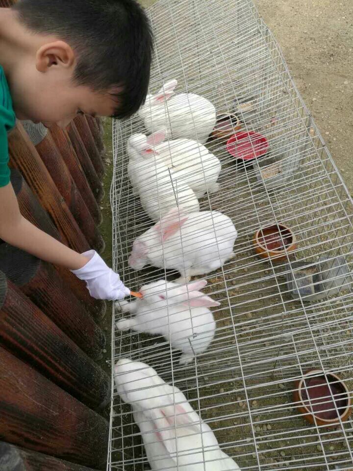 金彩汇 - 首页