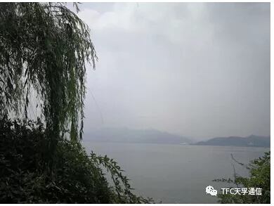金彩汇 - 首页