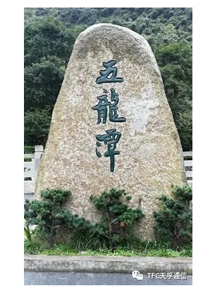 金彩汇 - 首页